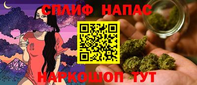 прущие грибы Пыть-Ях