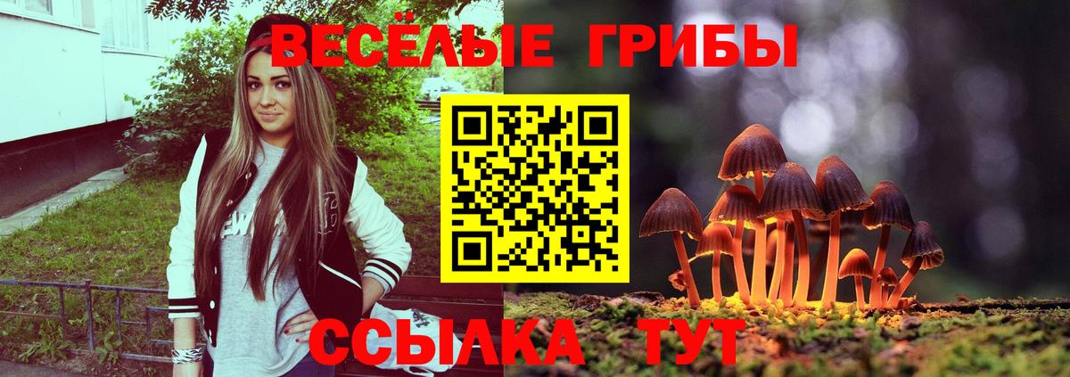 Галлюциногенные грибы Magic Shrooms  Вход с VPN  Галлюциногенные грибы GOLDEN TEACHER  Сергиев Посад 